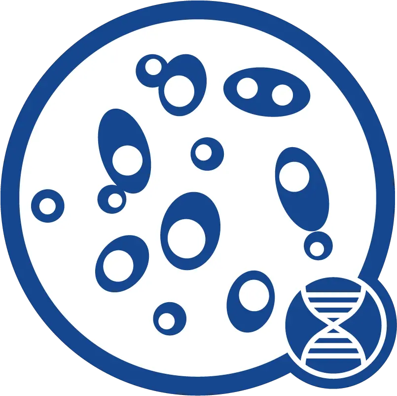 Yeast Dna Icon Yeast Dna Extraction Clipart Png Download Dot Dna Helix Icon