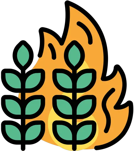 Crops Fire Icon Of Colored Outline Clip Art Png Crops Png