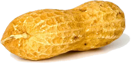 Peanut Solo Transparent Png Peanut Png Peanut Transparent