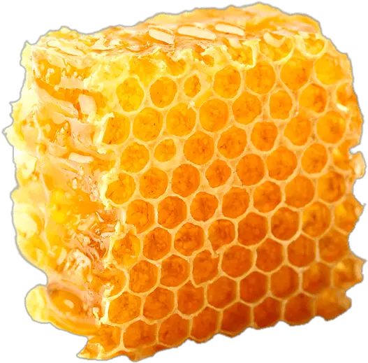 Honey Comb Png Free Honeycomb Transparent Honey Transparent