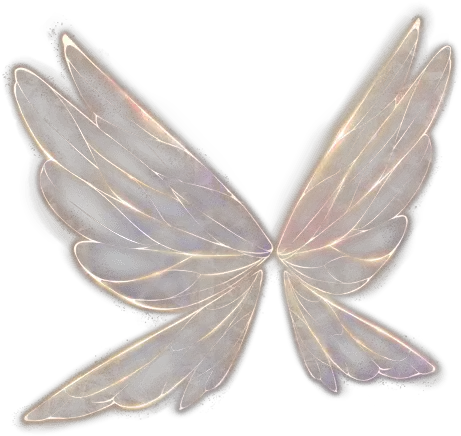 Angle Anglewings Angles Wing Wings Butterfly Butterflie Translucent Fairy Wings Png Transparent Angle Wings Png