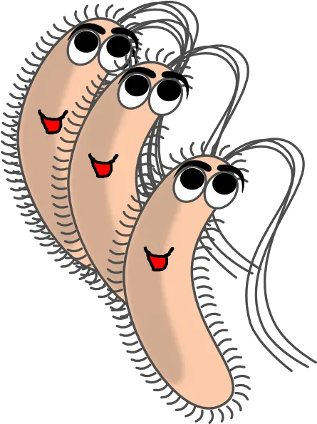 Funny Bacteria Funny Bacteria Png Bacteria Png