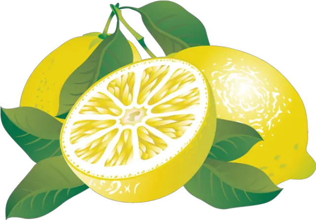 Lemon Fruitspngtransparentimagescliparticonspngriver Lemons Clipart Png Lemon Transparent Background