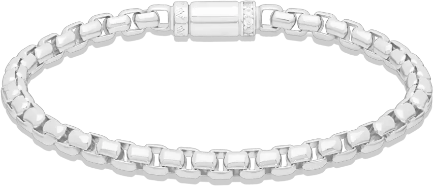 Chain Link Sterling U2014 Zephyr Collection Png