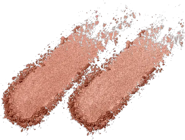 Pickypicks Makeup U0026 Beauty U2013 Page 4 Transparent Highlighter Png Makeup Wet N Wild Color Icon Bronzer And Blush