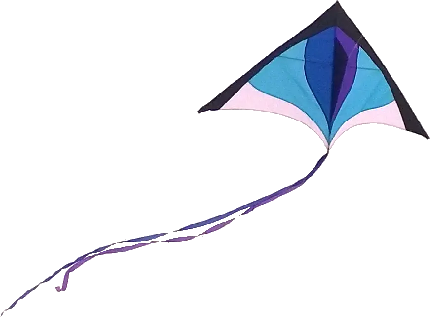 Download Kite Png Full Size Png Image Pngkit Real Kite Png Kite Png