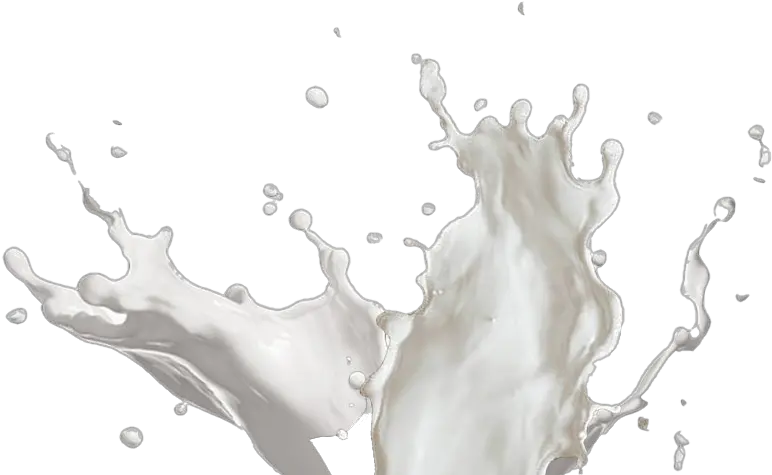 Vector Milk Splash Milk Splash Milk Png Milk Splash Png