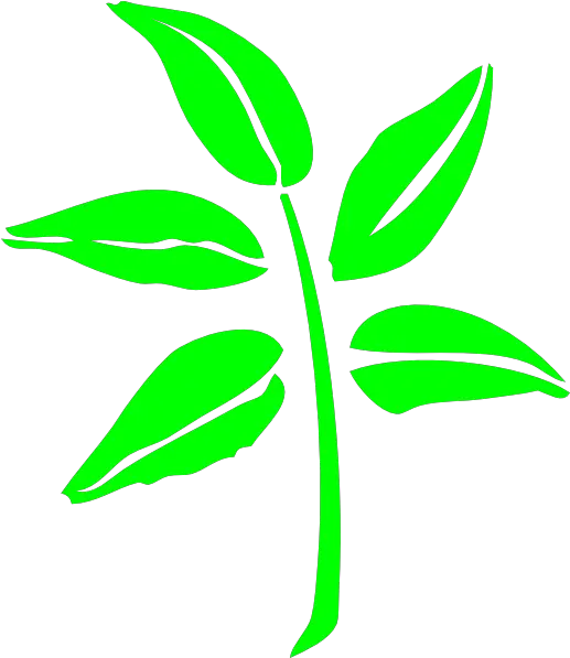 Leaf Silhouette Clip Art Neem Christmas Green Leaf Clip Art Png Plant Silhouette Png