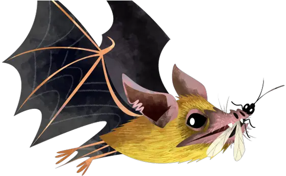 Amid Covid 19 Letu0027s Not Forget How Bats Help Our Bat Eating Mosquito Clip Art Png Bat Wing Png