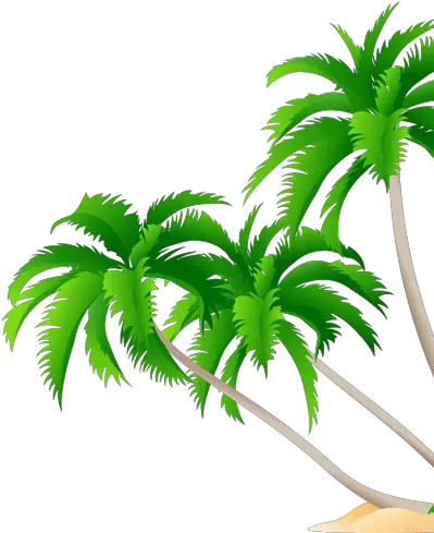 1800 Central Commerce Court High Resolution Coconut Tree High Resolution Coconut Tree Png Leaf Vector Png