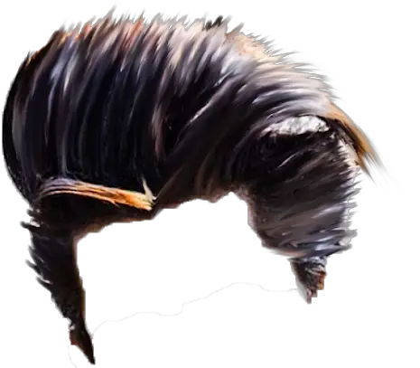 Pin Turkey Png Hear Png