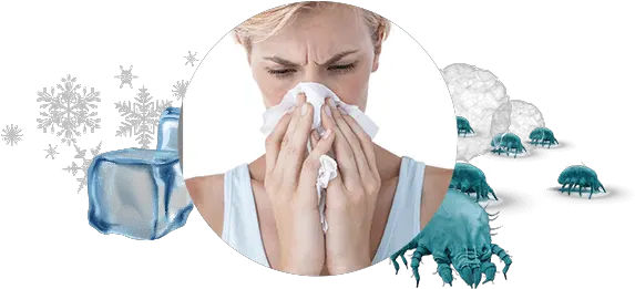 Why It Is Important To Keep Allergies From Getting Worse Girl Png Dust Effect Png