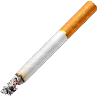 Tobacco Icon Transprent Png Free Cigarette No Background Cigarette Transparent