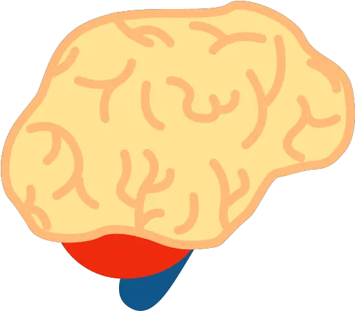 Brain Vector Icons Free Download In Svg Png Format Junk Food Medical Brain Icon