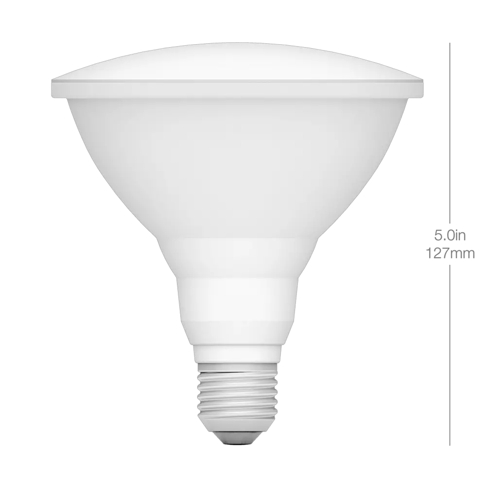 Download Hd Dimensions Par38 Front Incandescent Light Bulb Monochrome Png Lightbulb Transparent Background