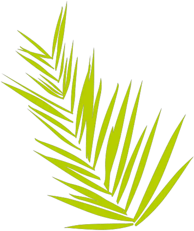 Date Fern Transparent Png U0026 Svg Vector File Helecho Png Fern Png