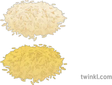 Golden Rice Illustration Twinkl Rice Illustration Png Rice Png