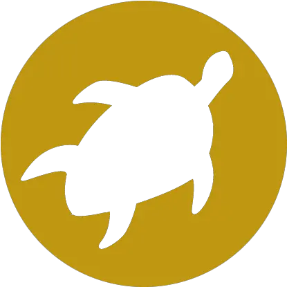 Turtle Icon Amsant Fin Png Turtle Icon Png