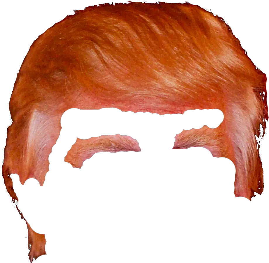 Donald Trump Hair Png U2013 Ryan And Debi U0026 Toren Donald Trump Hair Png Transparent Trump Png