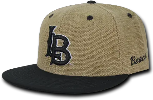 Dragon Icon Hat Grey 723 416404 Walmartcom Png Obey Icon Snapback