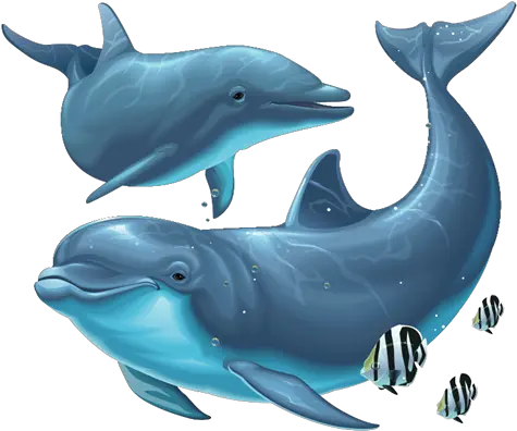 Free Dolphin Png Transparent Images Transparent Background Dolphin Png Dolphin Clipart Png