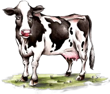 Blog Cow Png Cow Icon