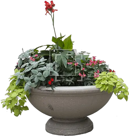 Planter With Overflowing Plantlife Immediate Entourage Flower Planter Png Planter Png