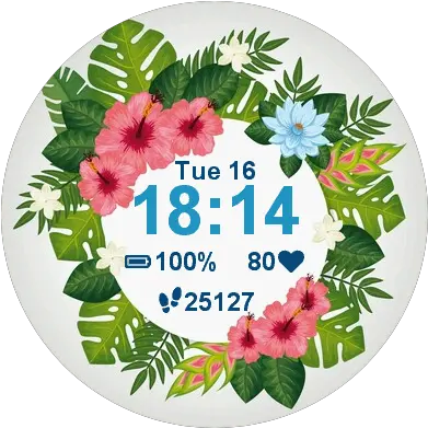 Tropical Summer Garmin Connect Iq Floral Png Hawaiian Flower Icon