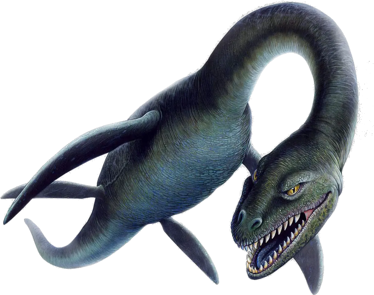 Loch Ness Monster Loch Ness Monster Head Transparent Png Loch Ness Monster Png Ness Transparent