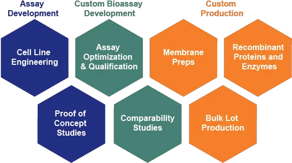 Custom Assay Development Services Assay Development Png Development Png