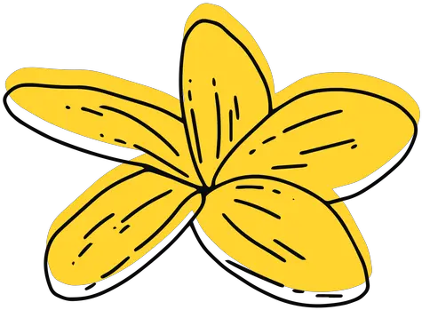 Plumeria Flower Flat Tarjeta Con Flor De Plumeria Png Plumeria Png