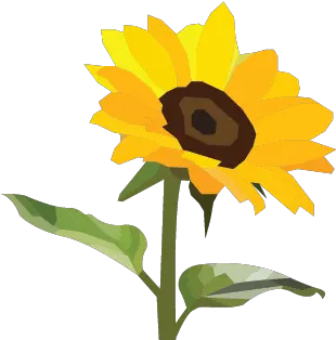 Benjamin Rita Product Design Using Metaphor Png Sunflower Emoji Transparent