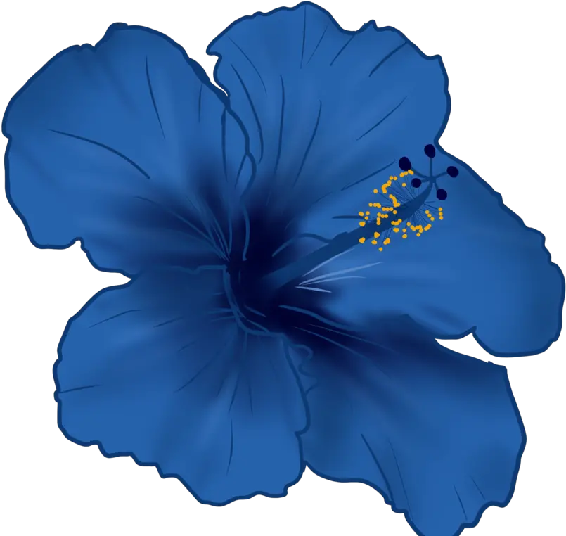 Hawaiian Flower Vector Png Blue Hawaiian Hibiscus Flower Hawaiian Flower Png