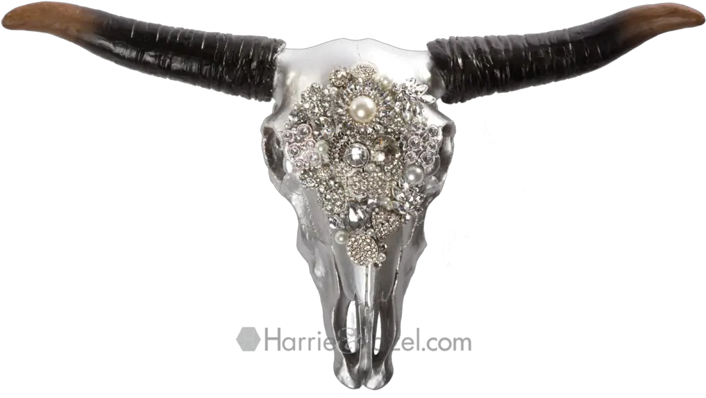 Download Hd Hh Skull Bull Transparent Png Image Nicepngcom Cow Skull Transparent Hd Bull Transparent