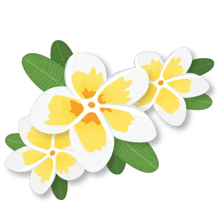 Plumeria Clipart Svg Scrapbook Cut File Plumeria Clipart Png Plumeria Flower Png