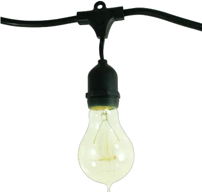 Bulbrite Lighting Creates Beautiful Living Incandescent Light Bulb Png String Light Png