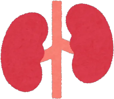 Kidney Icon Internal Organs Illustration Material Lots Language Png Organ Icon