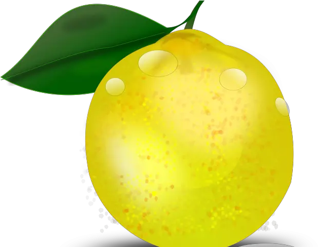 Limon Tropical Png Transparent Lemon Lemon Tree Png