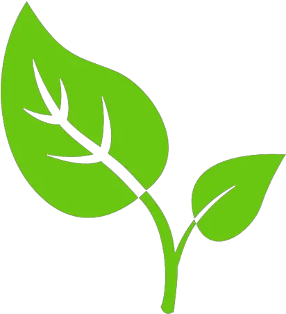 Tobacco Leaf Drawing Free Download Transparent Background Tobacco Leaf Clipart Png Leaf Vector Png