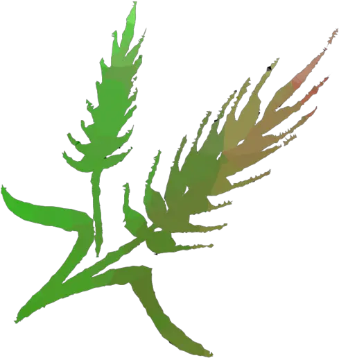 Download Leaf Clipart Plant Stem Hemp Clip Art Full Illustration Png Leaf Clipart Transparent