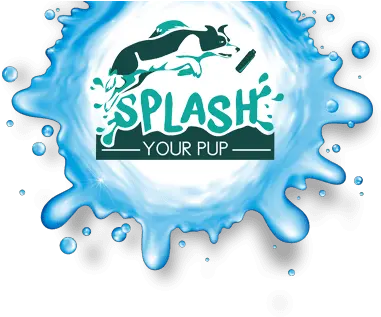 Swimming Pool Logo Png 2 Image Splash Dog Logo Swimming Pool Png