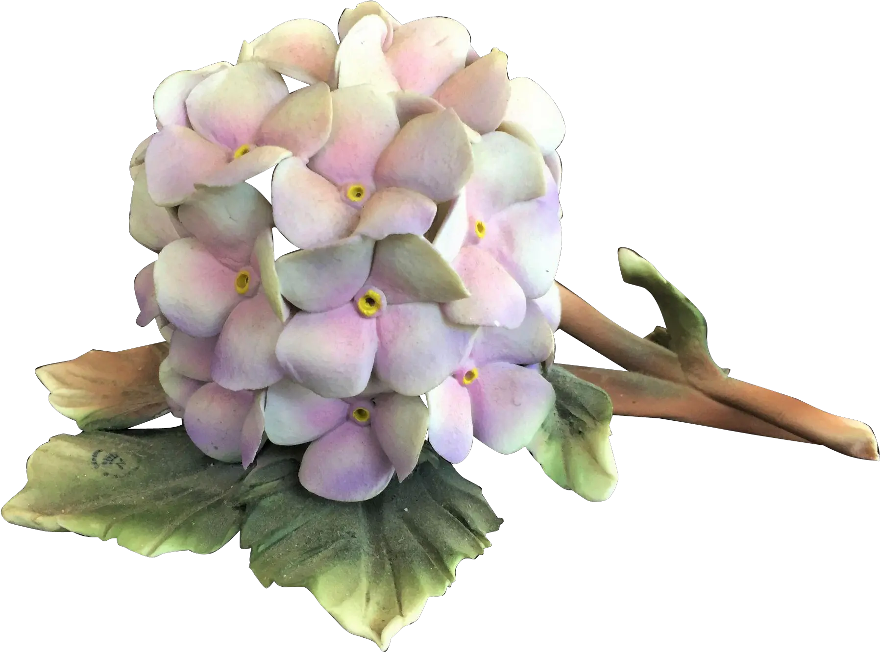 Rare Capodimonte Hydrangea Cesar Savastano Italy Vintage Transparent Hydrangea Vintage Png Hydrangea Png