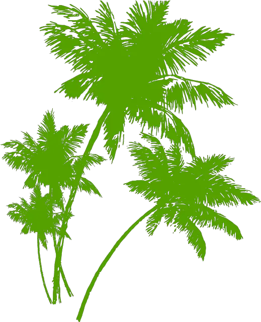 Download Transparent House For Sale Clipart Beach Palm Silhouette Coconut Tree Transparent Png Beach Silhouette Png