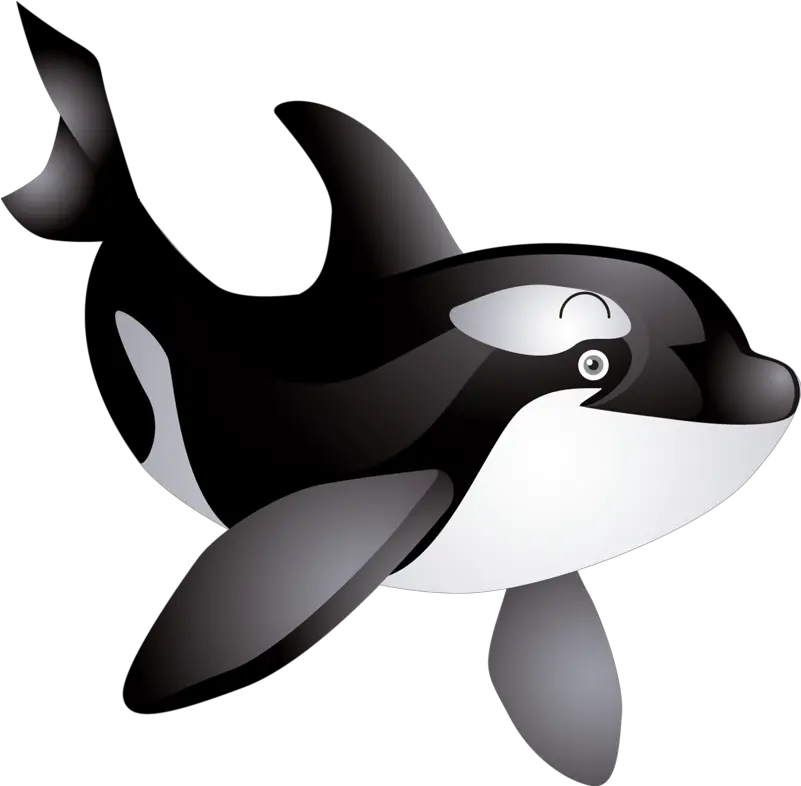 Free Killer Whale Clipart Cartoon Killer Whale Clipart Png Whale Clipart Png