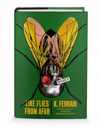 Book Review Like Flies From Afar By K Ferrari Like Flies From A Novel Png Flies Png