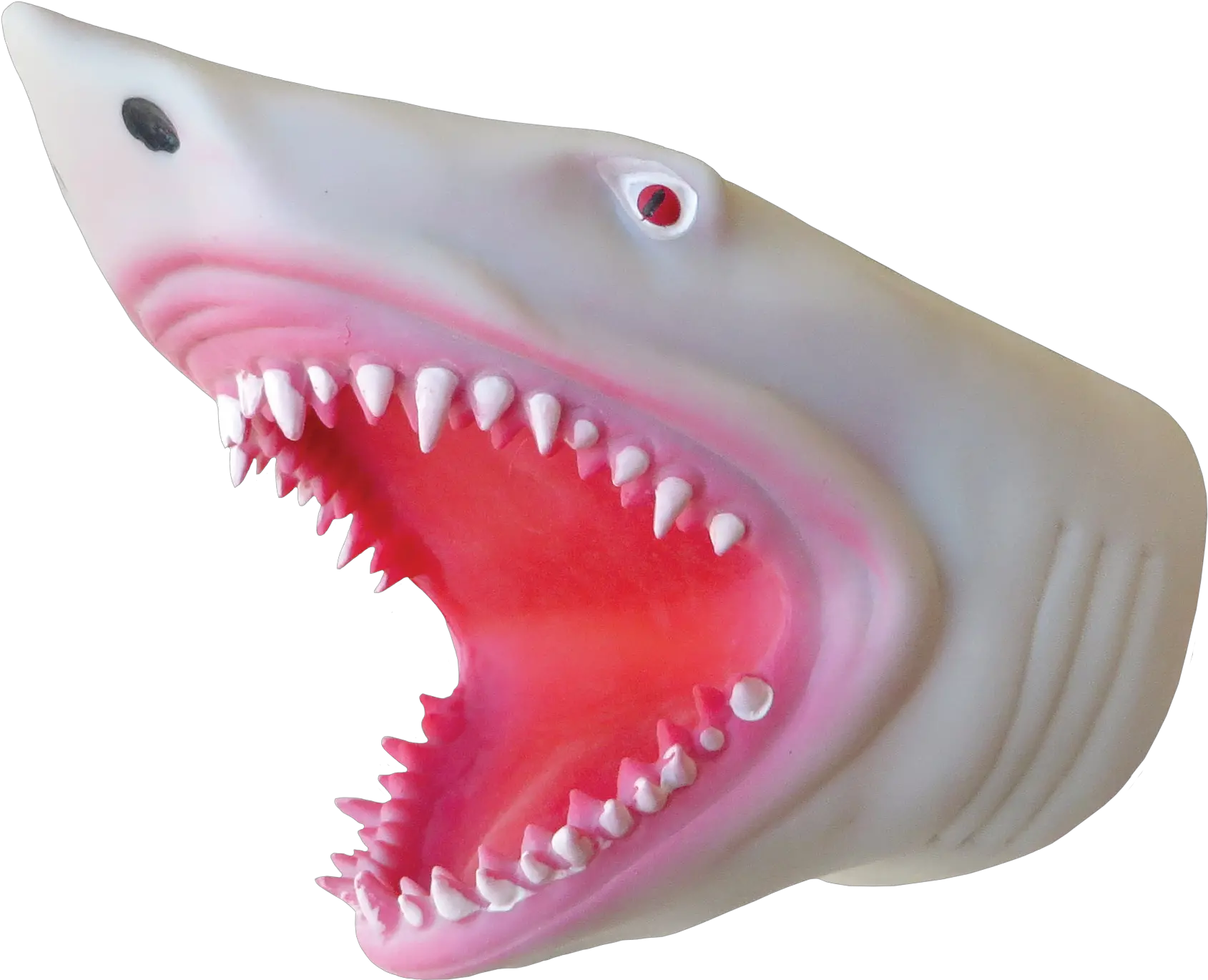 Download Puppet Rubber Shark Hand Puppet Full Size Png Shark Puppets For Sale Shark Transparent Background