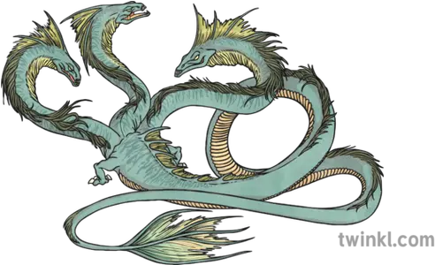 Hydra Illustration Dragon Png Hydra Png