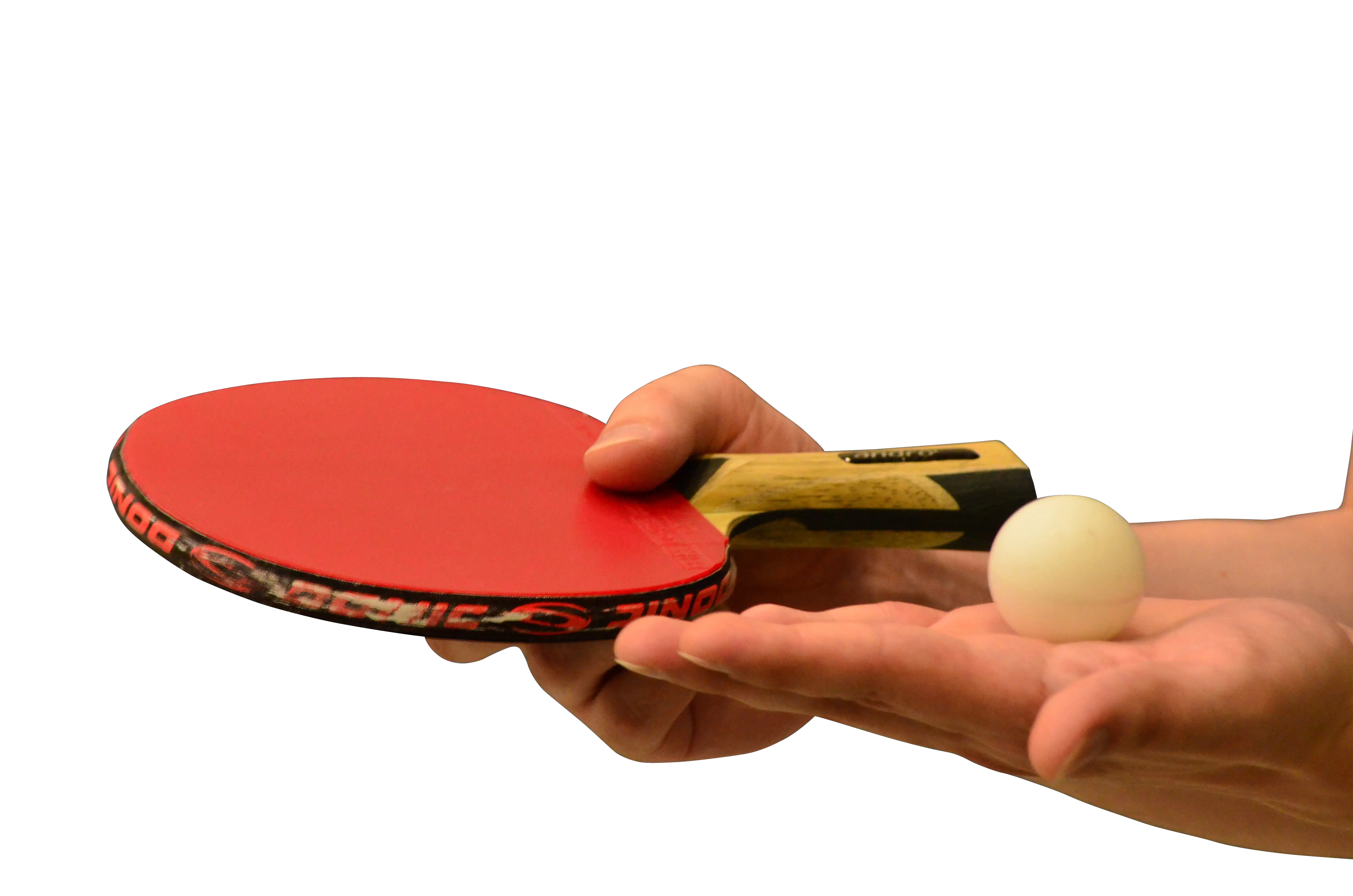 Hands Holding Table Tennis Of Racket And Ball Png Image Table Tennis Racket And Ball Ping Pong Png