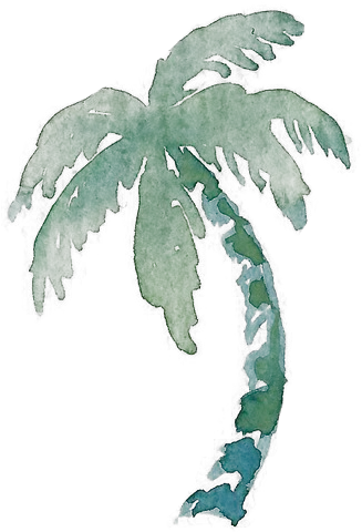 Half Day Prison Island Tour From Stonetown2017 Blue Watercolor Palm Tree Sticker Png Palm Frond Png