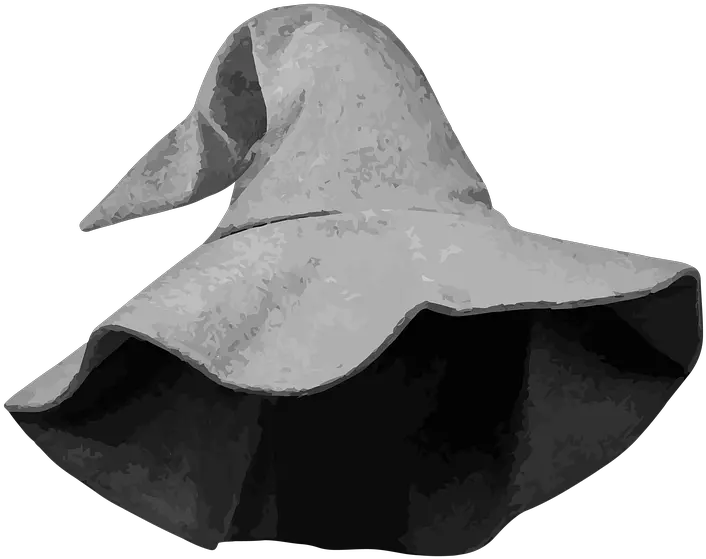 Wizard Hat Costume Free Image On Pixabay Duck Png Wizard Hat Png